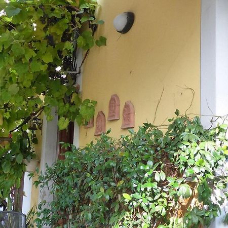 伊尔卡萨勒迪南妮住宿加早餐旅馆 卢卡 外观 照片