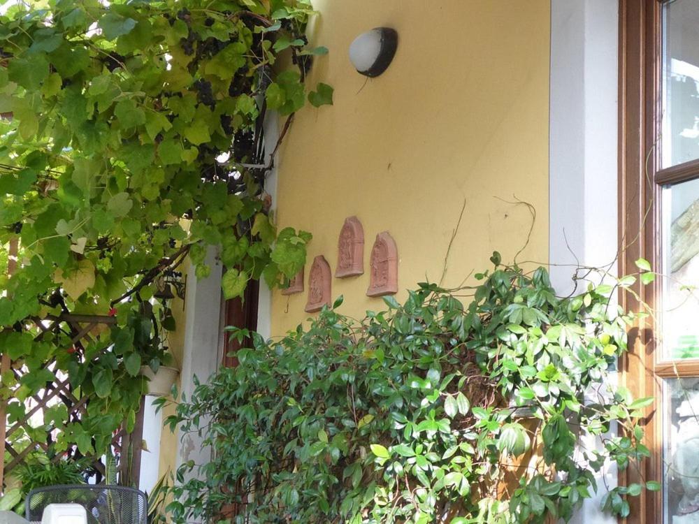 伊尔卡萨勒迪南妮住宿加早餐旅馆 卢卡 外观 照片